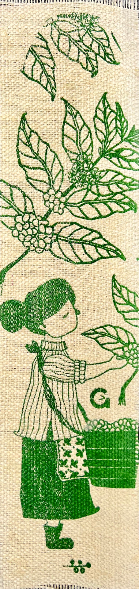 Geisha Cafetera